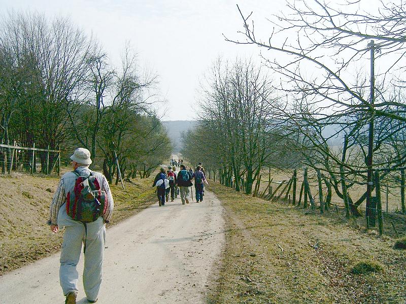 2010.03.20 072.jpg